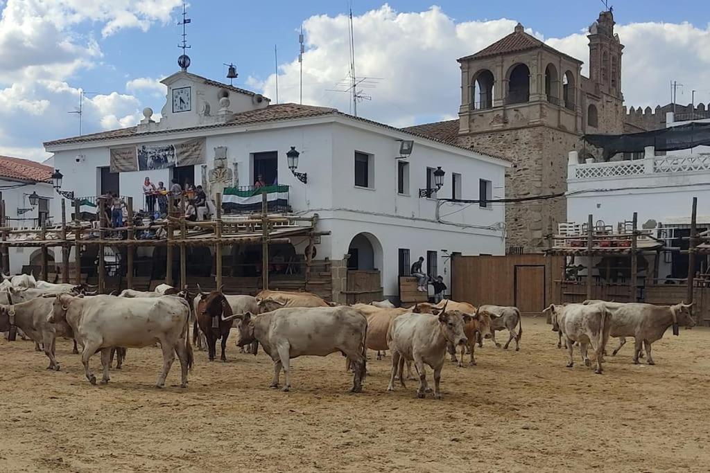 El Zarzal De Segura Villa Segura de León Buitenkant foto